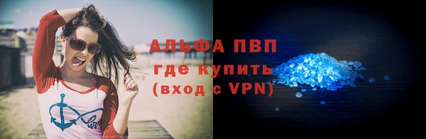 индика Горняк