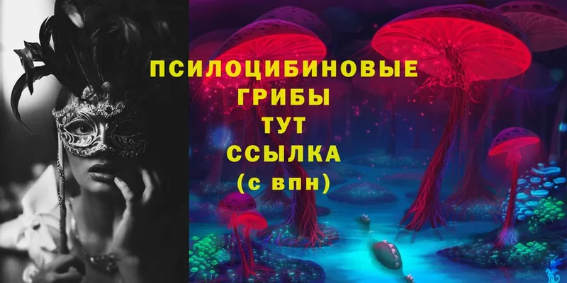 Псилоцибиновые грибы MAGIC MUSHROOMS  как найти закладки  Емва 